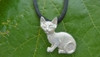 Fazio's Kitten Jewelry